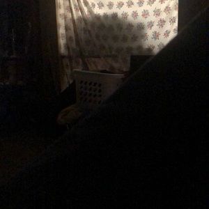 Meet your Posher, Rudy